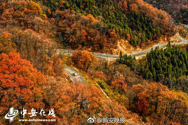 [AG亚娱官方网站入口]