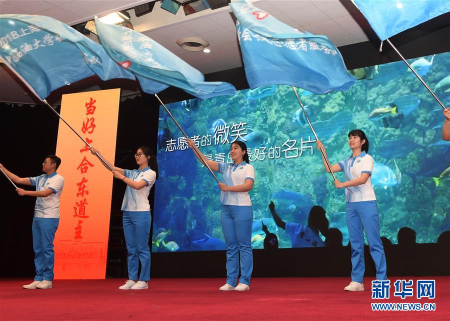 绯红结系动画联动奖励的代码是什么
