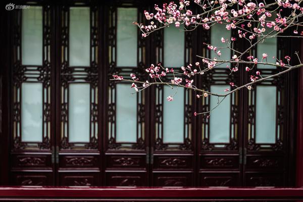 [AG亚娱官方网站入口]