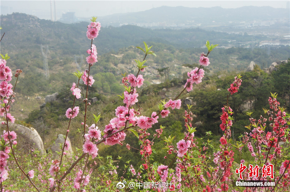 [AG亚娱官方网站入口]